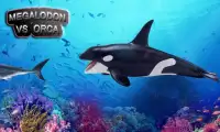 Orca vs Megalodon 3D Screen Shot 0