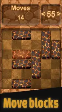 Puzzle Block King Free Screen Shot 2