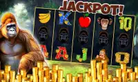 Slots Jungle Wild Kong Casino Screen Shot 0
