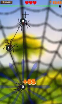 Crush the Spiders Puzzle Screen Shot 0