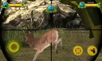 Deer Hunting Recall 2016 Screen Shot 5