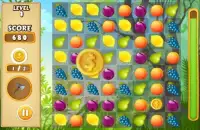 Fruits Story Screen Shot 1