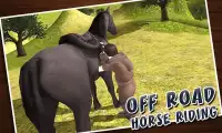 Horse Riding Sim 3D 2016 Screen Shot 0