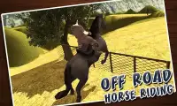 Horse Riding Sim 3D 2016 Screen Shot 1