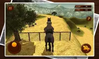 Horse Riding Sim 3D 2016 Screen Shot 2