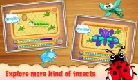 Insects Kingdom For Toddlers Screen Shot 1