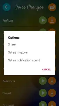 Funny Voice Changer Screen Shot 4