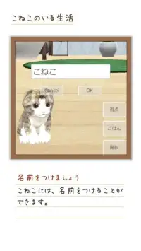 癒しのねこ育成ゲーム3D Screen Shot 1