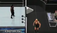 Fight WWE Action Screen Shot 0