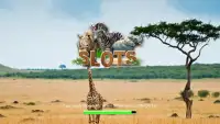 Animal Slots Screen Shot 4