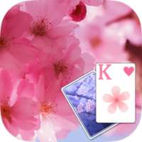 Solitaire Pink Blossom Theme