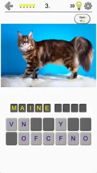 Cats Quiz - Guess Photos of All Popular Cat Breeds Screen Shot 4