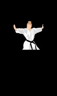 Karate All Shotokan Katas Screen Shot 3