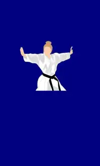 Karate All Shotokan Katas Screen Shot 2
