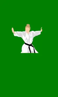 Karate All Shotokan Katas Screen Shot 0