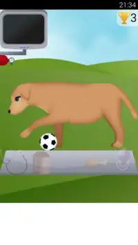 Anjing game kehamilan 2 Screen Shot 3