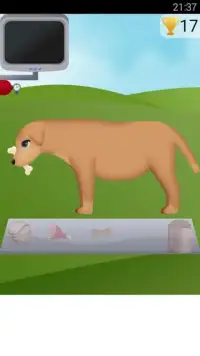 Anjing game kehamilan 2 Screen Shot 2