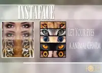 InstaFace : face morphing Screen Shot 4