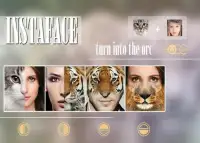 InstaFace : face morphing Screen Shot 5
