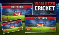 World T20 Cricket 2016 Screen Shot 7