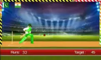 World T20 Cricket 2016 Screen Shot 3