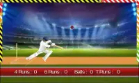 World T20 Cricket 2016 Screen Shot 1