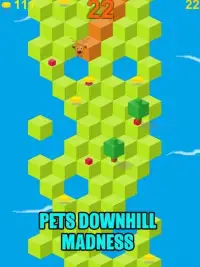 Pets Downhill Madness - Game Screen Shot 7