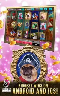 Sad Pugs Slots Screen Shot 6