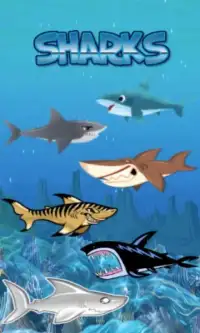Angry Shark World Screen Shot 4