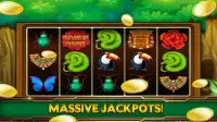 Rainforest Queen Slot Machines Screen Shot 10