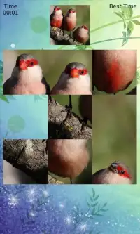 Birds Legion Slidding Screen Shot 0