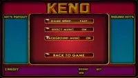 Amazing Blackjack Keno Slots Screen Shot 12