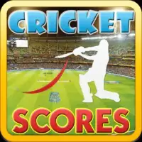 Indo Pak Live Cricket Scores Screen Shot 0