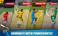 Power Cricket T20 Cup 2016 Screen Shot 9
