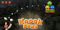 Knock down Birds Screen Shot 7