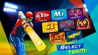 I.P.L T20 Cricket 2016 Craze Screen Shot 9