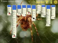 Spider Solitaire Relax Screen Shot 2