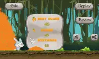 Jungle Bunny Run Screen Shot 1
