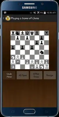 Fun Chess Screen Shot 2
