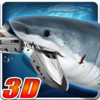 Angry Megalodon Shark 3D