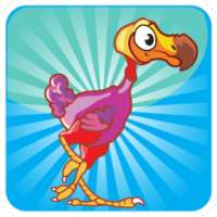 Dodo - Runaway Bird