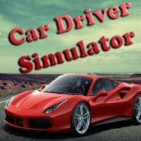 Car Driver Simulator
