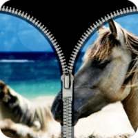 zipper horse lock screen