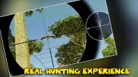 Real Forest Sniper Bird Hunting Screen Shot 0