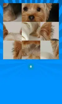 Dogs Jigsaw Puzzles Screen Shot 1