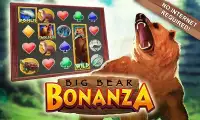 Slots Big Bear Free Slots Game Screen Shot 14
