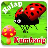 Balap Kumbang (Offline)