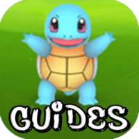 Guides : Pokemon Go Catch