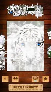 Puzzle Infinity : Wild Animals Screen Shot 8