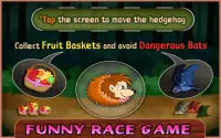 HedgeHog Bouncing Funny Forest Race Screen Shot 4